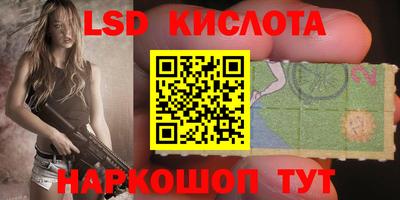 шишки Пугачёв