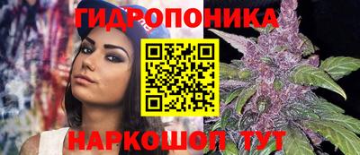 шишки Пугачёв