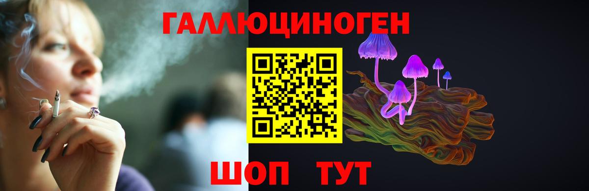 Галлюциногенные грибы Psilocybe  Вход с VPN  цена   Псилоцибиновые грибы Magic Shrooms  Сибай 